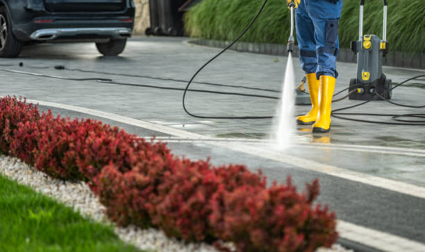 Best Driveway Pressure Washing  in Warren, MI