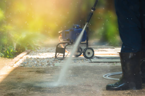 Best Animal Enclosure Cleaning  in Warren, MI